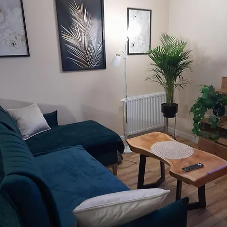 Apartamenty U Bodzia 3 *