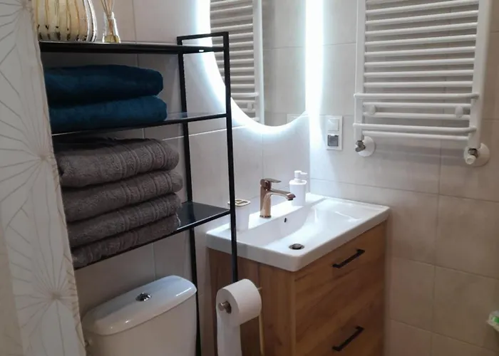 Apartamenty U Bodzia 3 Апартаменты *