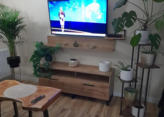 Appartamento Apartamenty U Bodzia 3 Stronie Śląskie